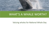 What's a whale worth? Valuing whales for National Whale Day.