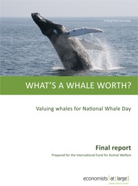What's a whale worth? Valuing whales for National Whale Day.