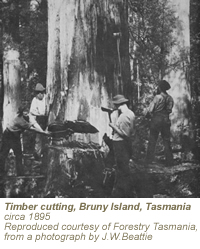 timber_felling_tasmania